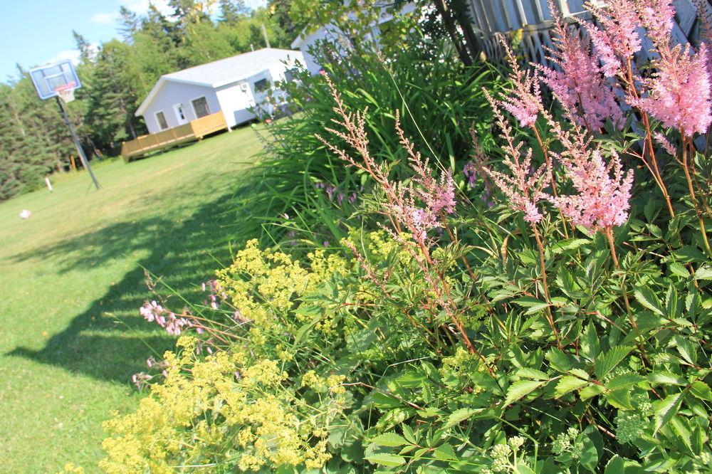 Hidden Acres Cottages Cavendish Extérieur photo