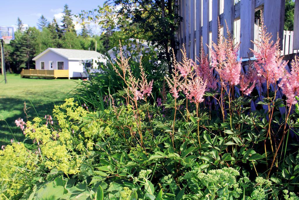 Hidden Acres Cottages Cavendish Extérieur photo