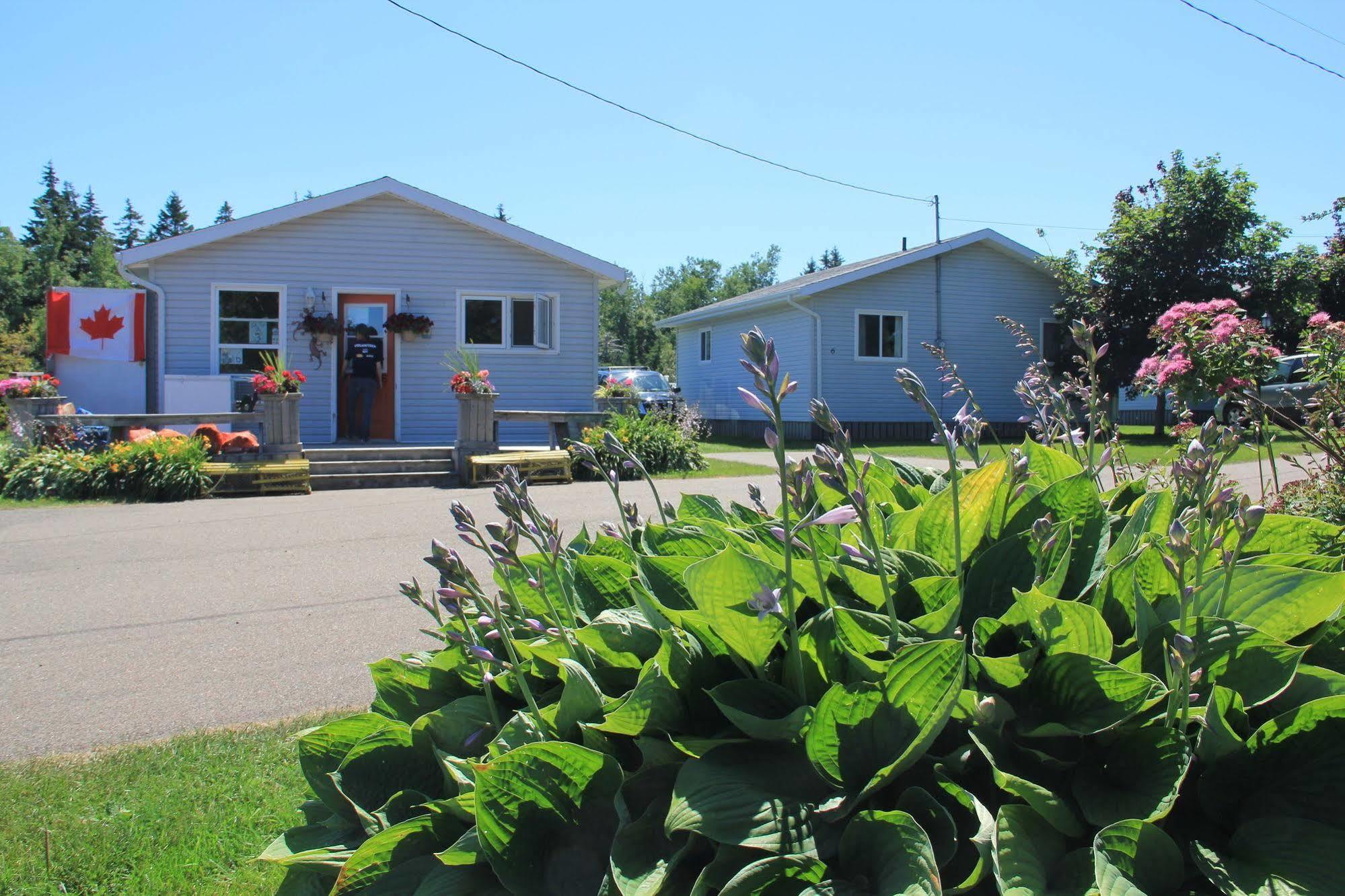 Hidden Acres Cottages Cavendish Extérieur photo